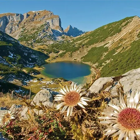 Bergzauber Apartamento *